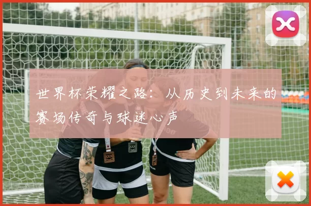 世界杯荣耀之路：从历史到未来的赛场传奇与球迷心声