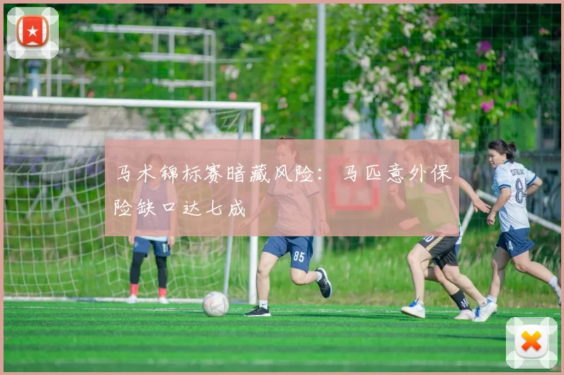 马术锦标赛暗藏风险：马匹意外保险缺口达七成