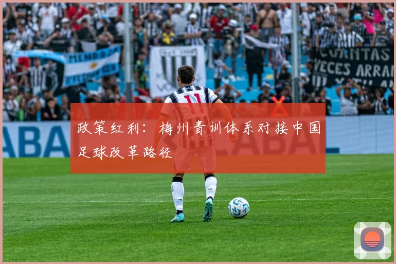 政策红利：梅州青训体系对接中国足球改革路径