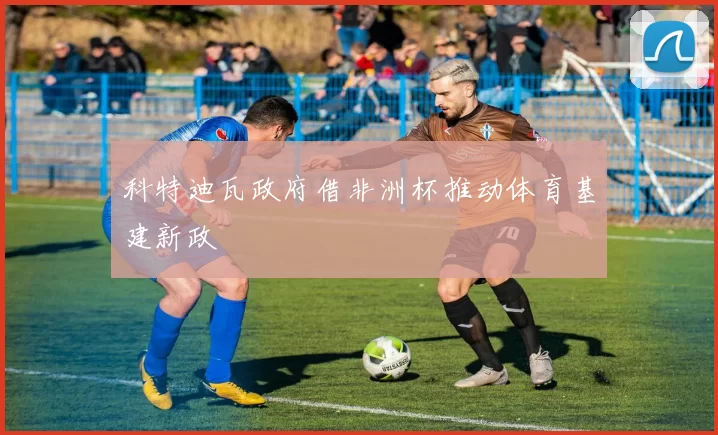 科特迪瓦政府借非洲杯推动体育基建新政