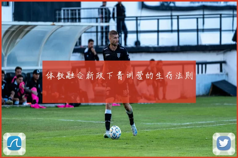 体教融合新政下青训营的生存法则