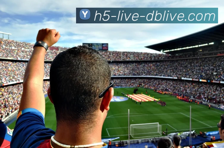 db真人首页APP 封面图